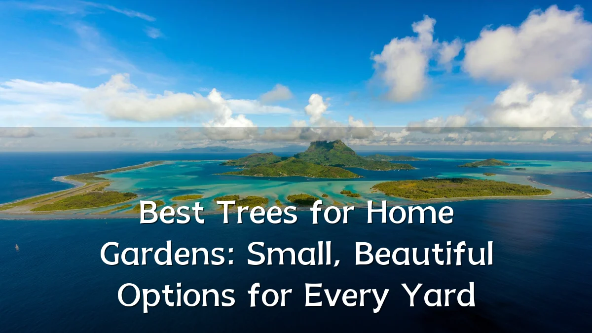 Best Trees for Home Gardens: Small, Beautiful Options for Every Yard