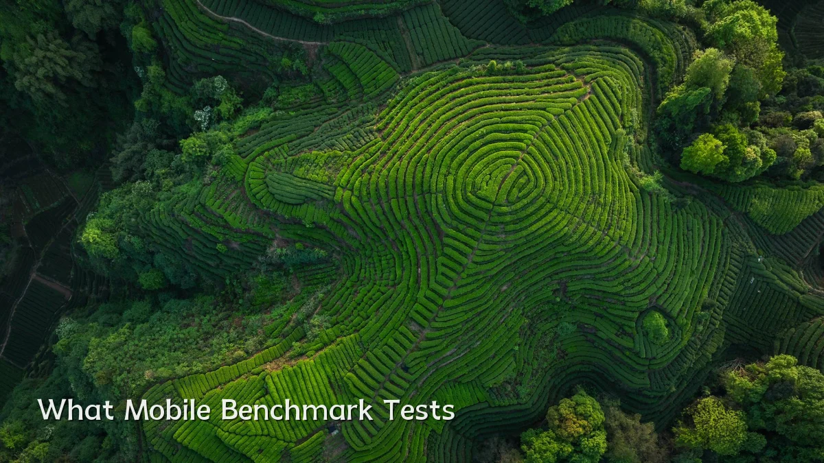 What Mobile Benchmark Tests