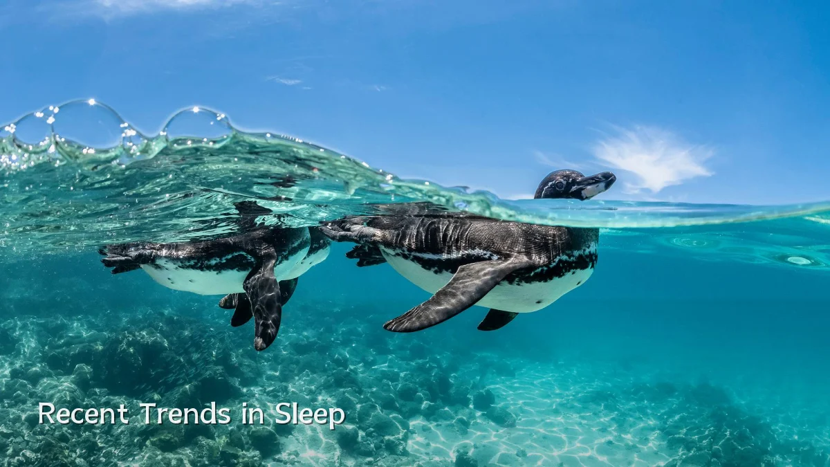 Recent Trends in Sleep