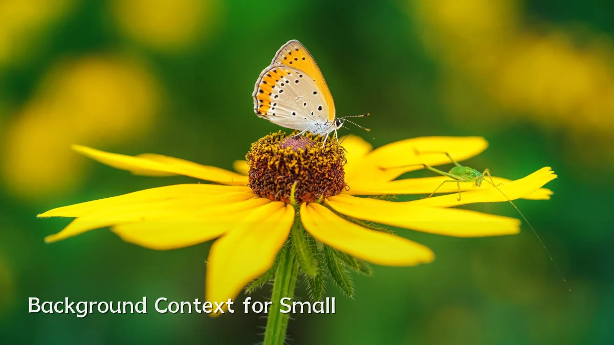 Background Context for Small