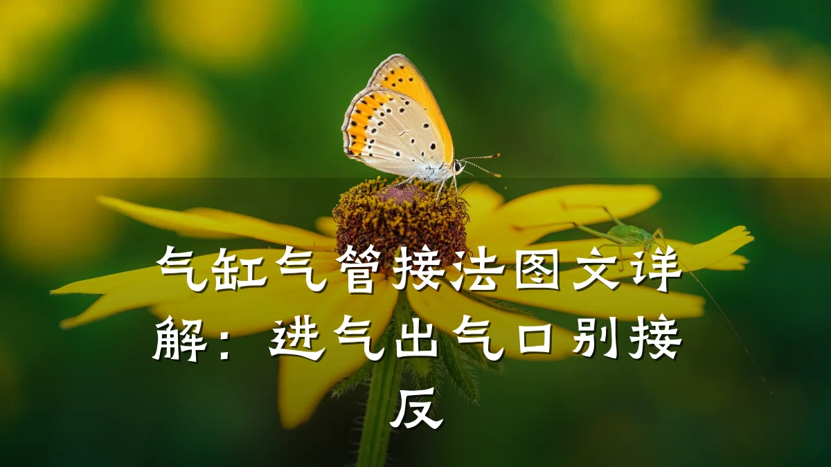 气缸气管接法图文详解：进气出气口别接反