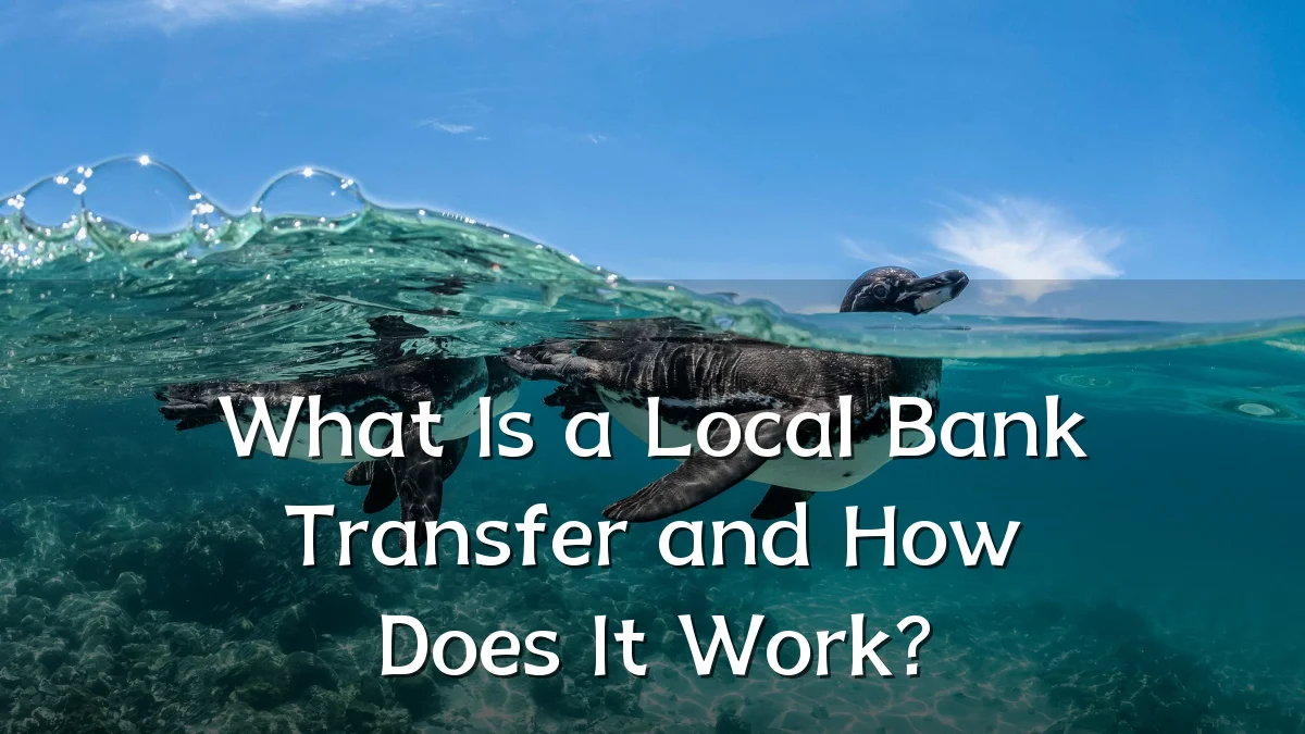 What Is a Local Bank Transfer and How Does It Work?