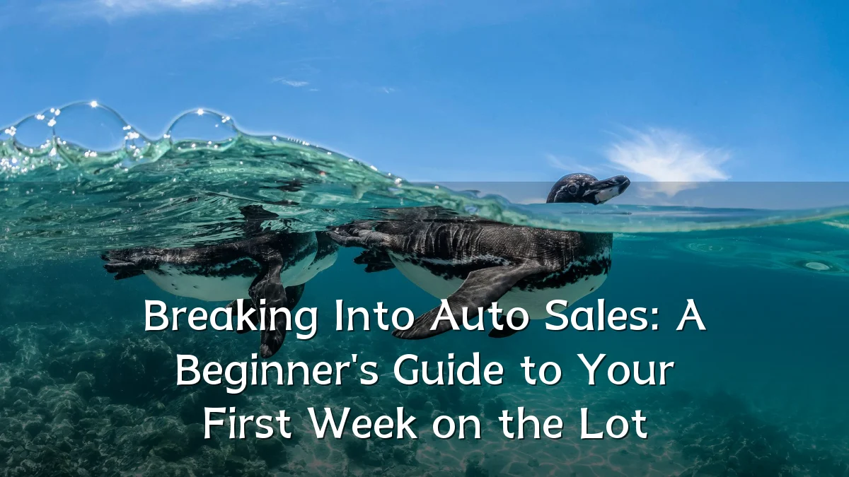 Breaking Into Auto Sales: A Beginner's Guide to Your First Week on the Lot