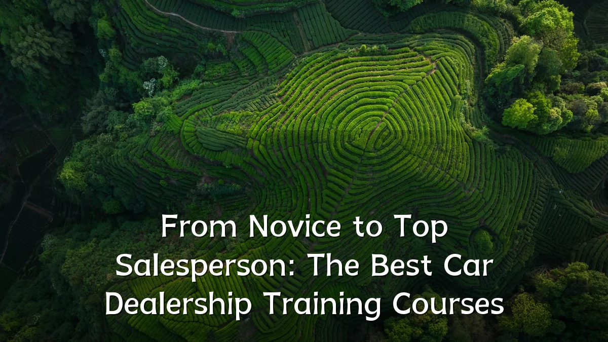 From Novice to Top Salesperson: The Best Car Dealership Training Courses