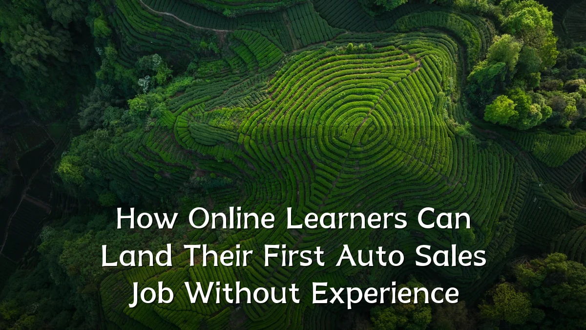 How Online Learners Can Land Their First Auto Sales Job Without Experience