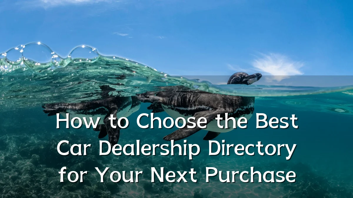 How to Choose the Best Car Dealership Directory for Your Next Purchase