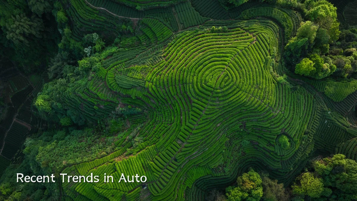 Recent Trends in Auto
