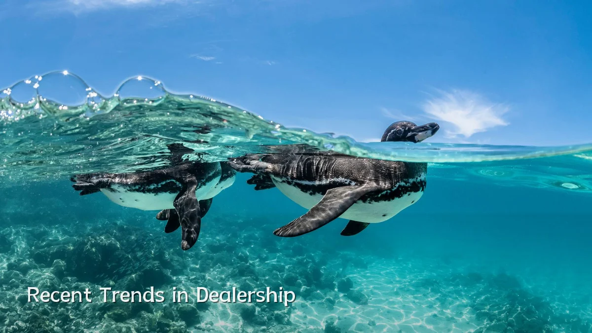Recent Trends in Dealership