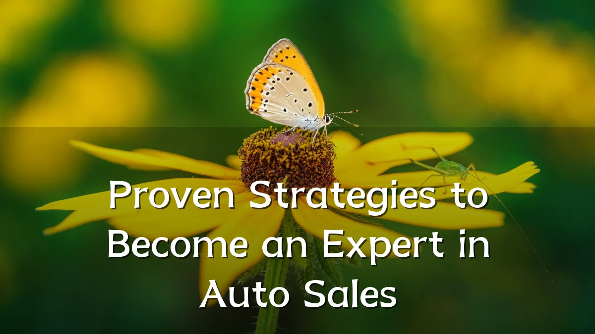 Proven Strategies to Become an Expert in Auto Sales