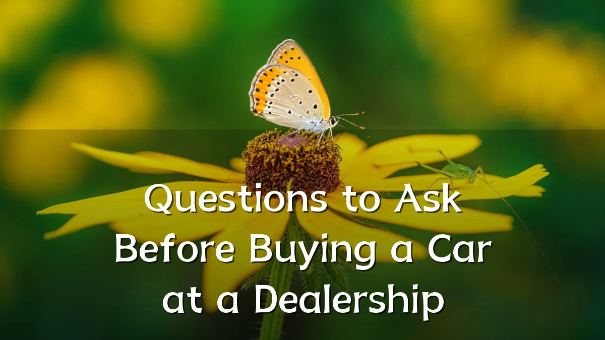 Questions to Ask Before Buying a Car at a Dealership