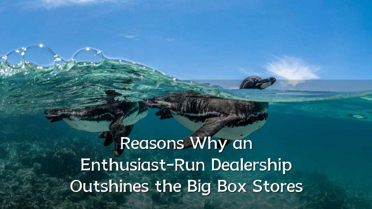 Reasons Why an Enthusiast-Run Dealership Outshines the Big Box Stores