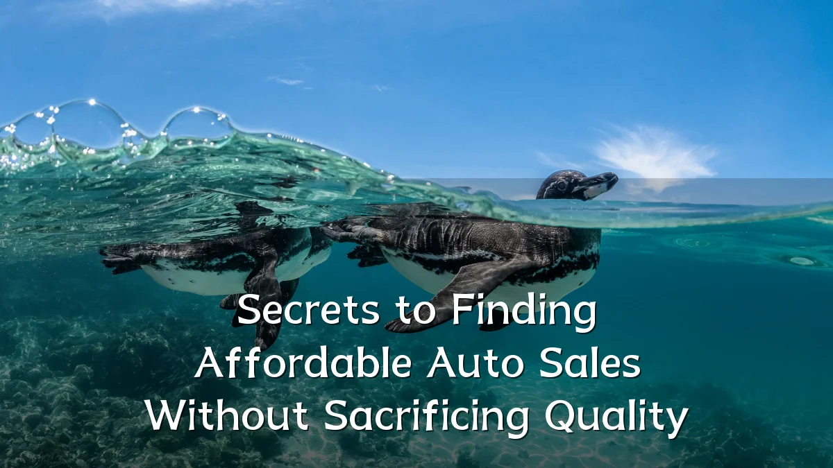 Secrets to Finding Affordable Auto Sales Without Sacrificing Quality
