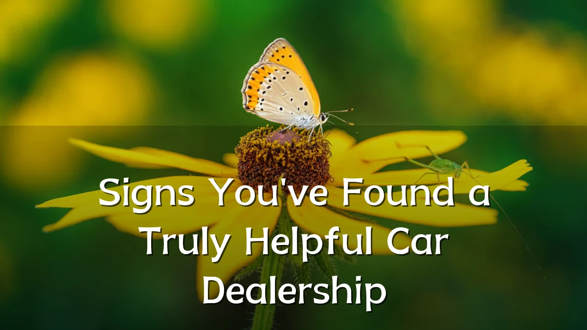 Signs You've Found a Truly Helpful Car Dealership