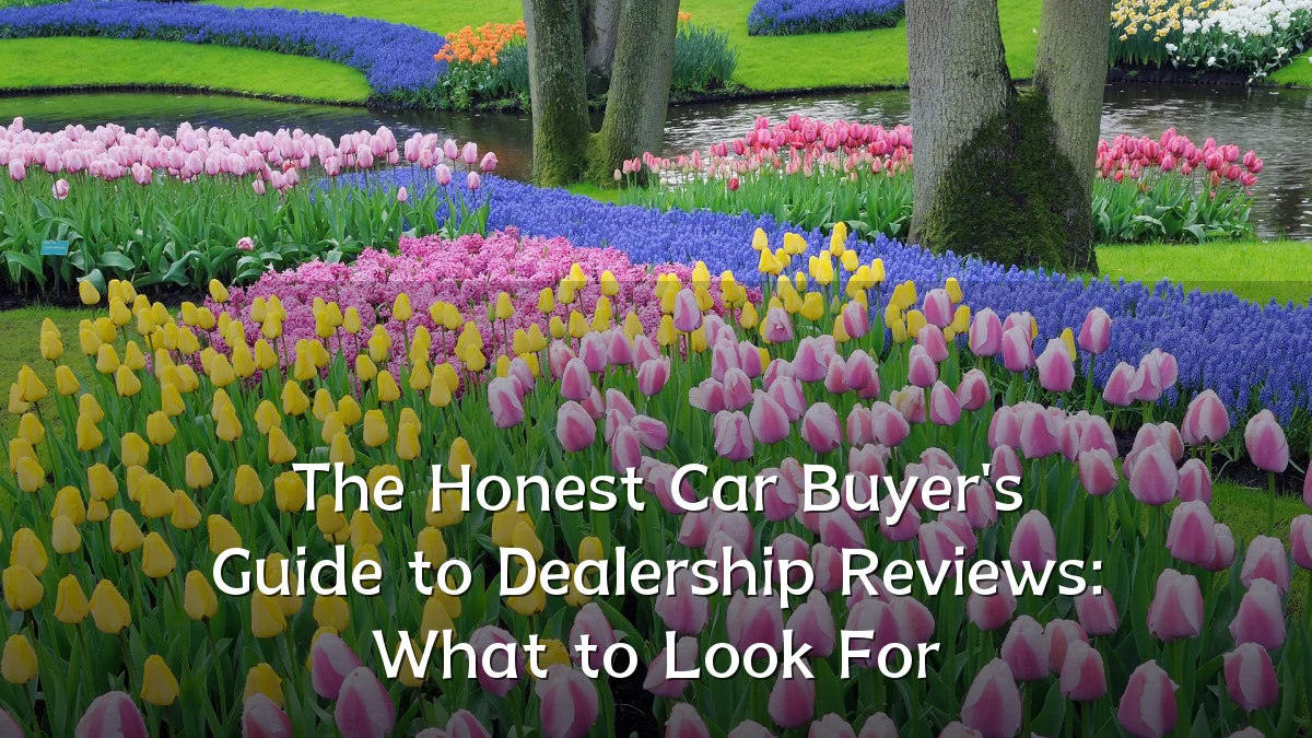 The Honest Car Buyer's Guide to Dealership Reviews: What to Look For