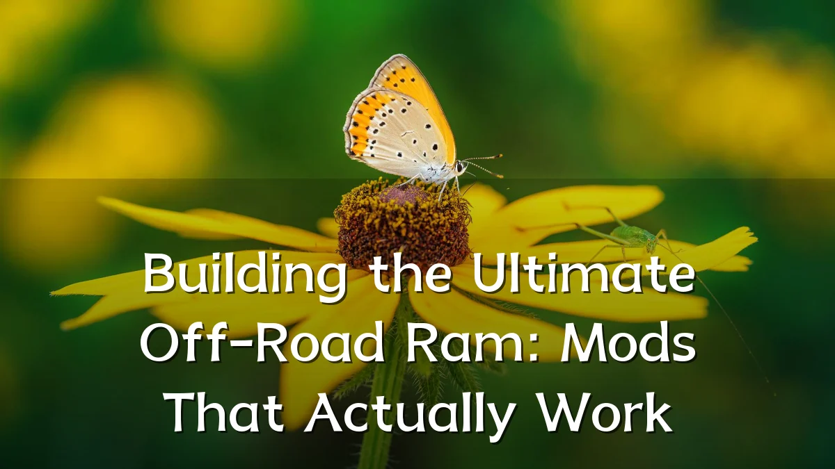 Building the Ultimate Off-Road Ram: Mods That Actually Work