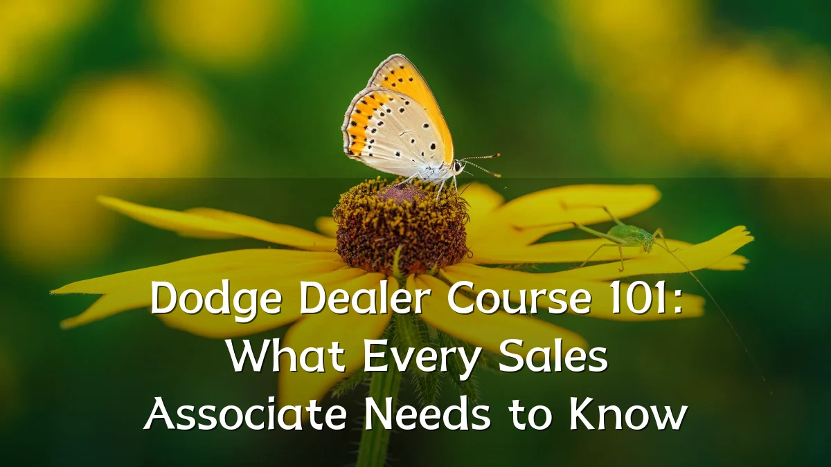 Dodge Dealer Course 101: What Every Sales Associate Needs to Know