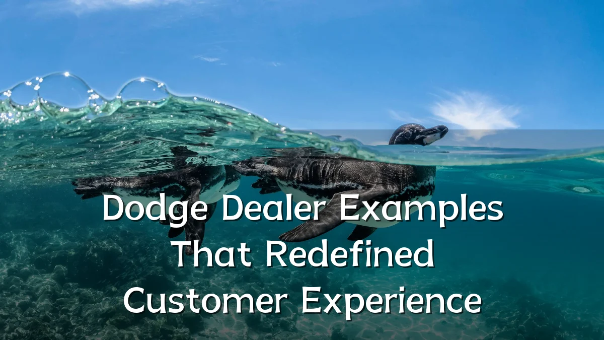 Dodge Dealer Examples That Redefined Customer Experience