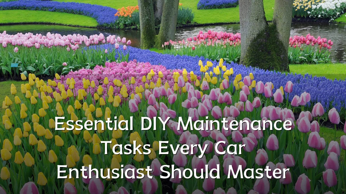 Essential DIY Maintenance Tasks Every Car Enthusiast Should Master