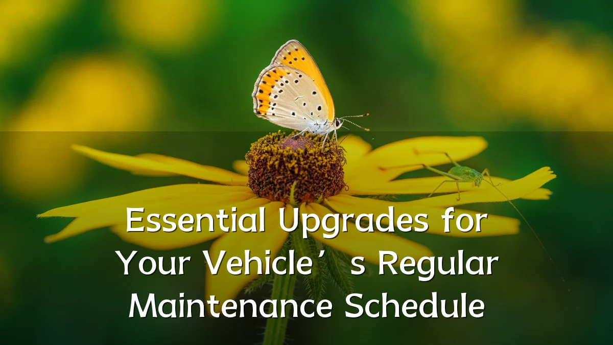 Essential Upgrades for Your Vehicle’s Regular Maintenance Schedule
