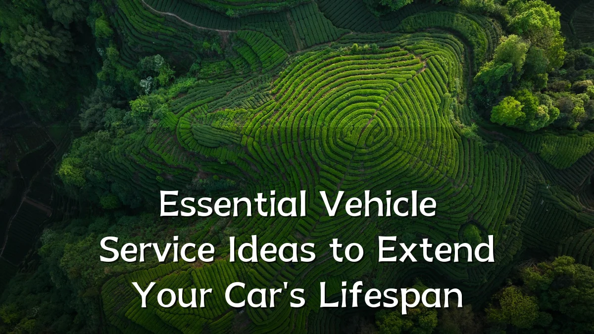 Essential Vehicle Service Ideas to Extend Your Car's Lifespan