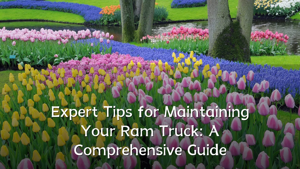 Expert Tips for Maintaining Your Ram Truck: A Comprehensive Guide