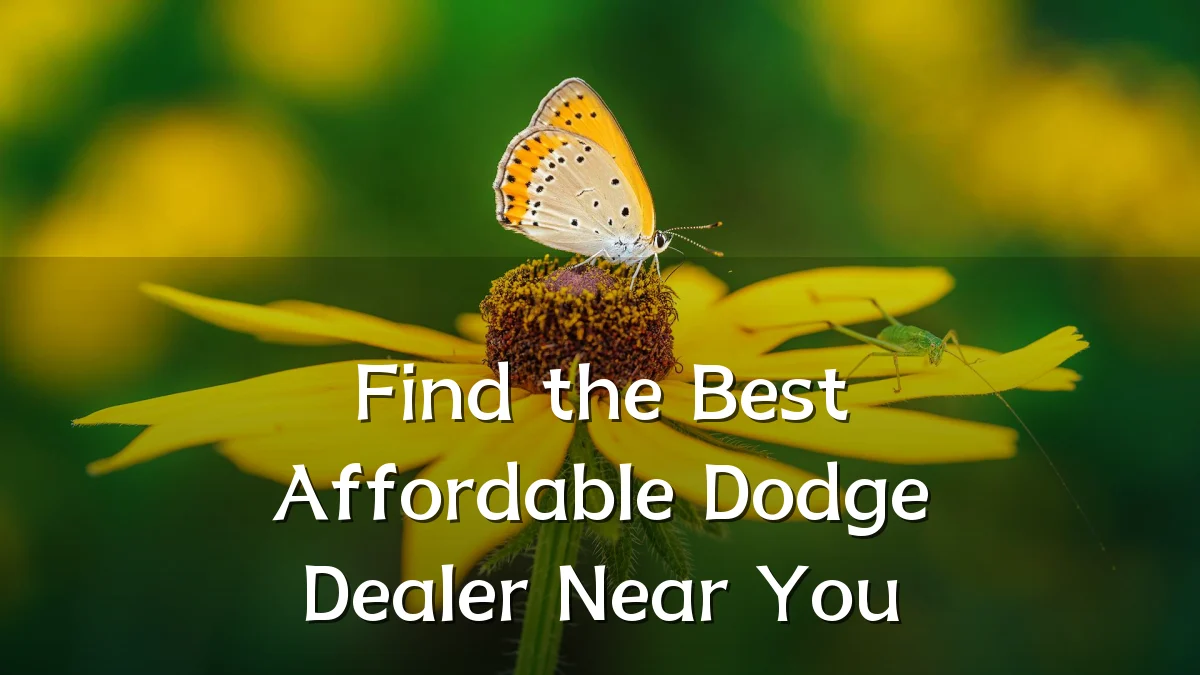 Find the Best Affordable Dodge Dealer Near You