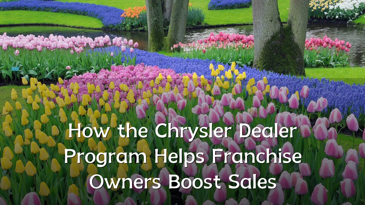How the Chrysler Dealer Program Helps Franchise Owners Boost Sales
