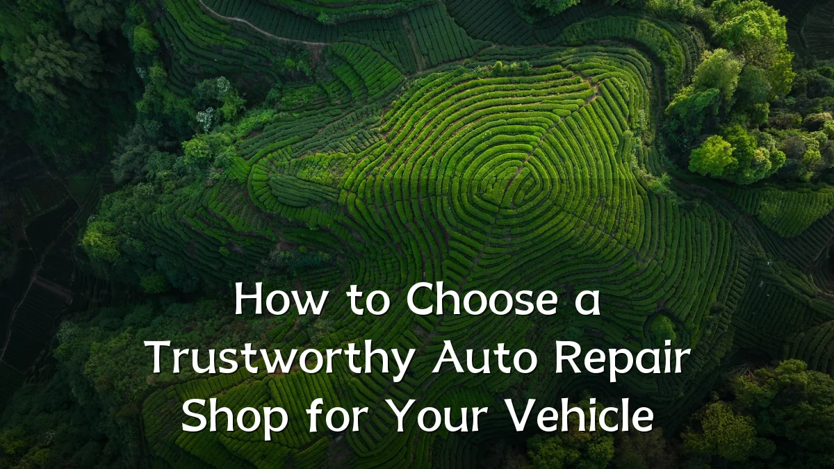 How to Choose a Trustworthy Auto Repair Shop for Your Vehicle