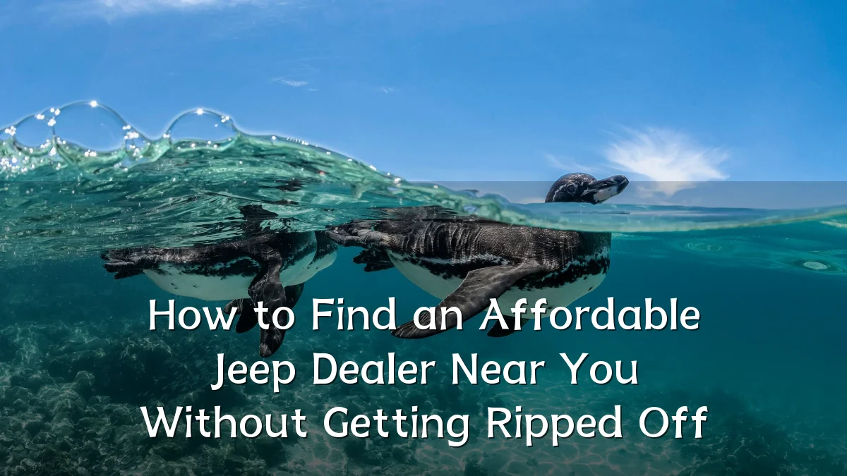 How to Find an Affordable Jeep Dealer Near You Without Getting Ripped Off
