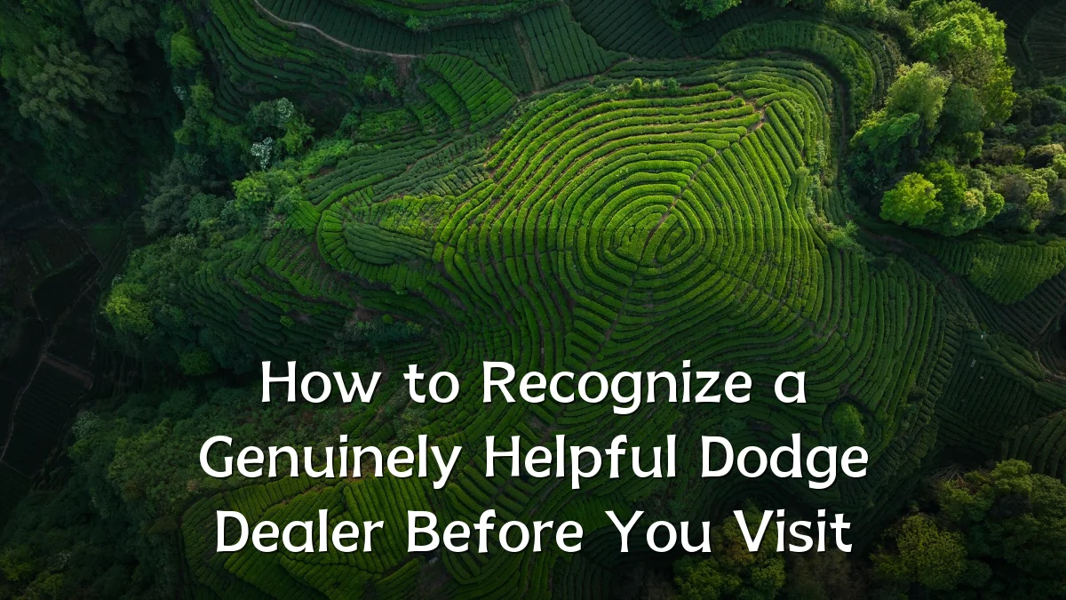 How to Recognize a Genuinely Helpful Dodge Dealer Before You Visit