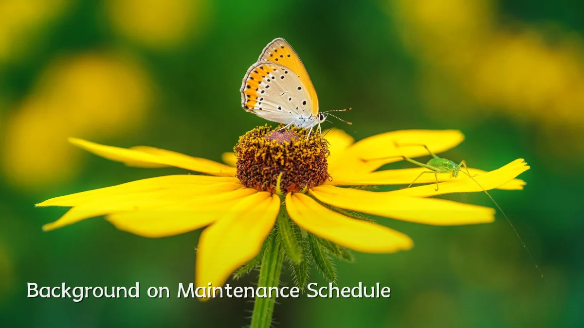 Background on Maintenance Schedule