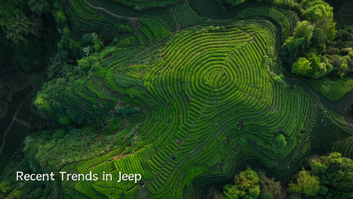 Recent Trends in Jeep