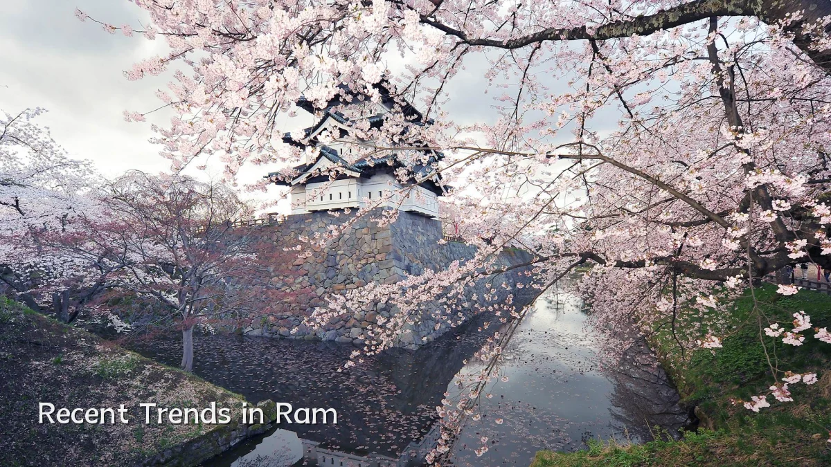 Recent Trends in Ram