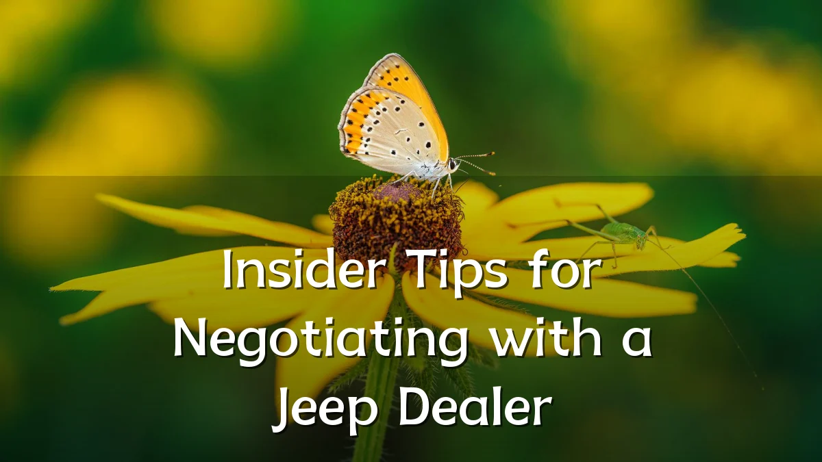 Insider Tips for Negotiating with a Jeep Dealer