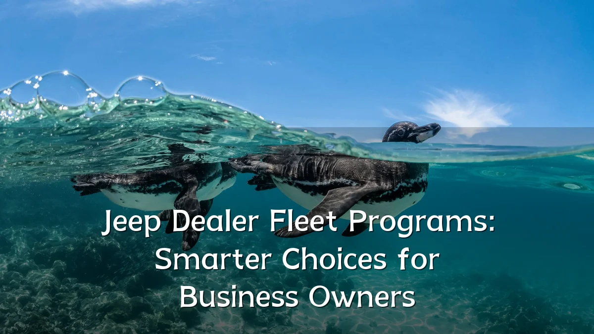 Jeep Dealer Fleet Programs: Smarter Choices for Business Owners