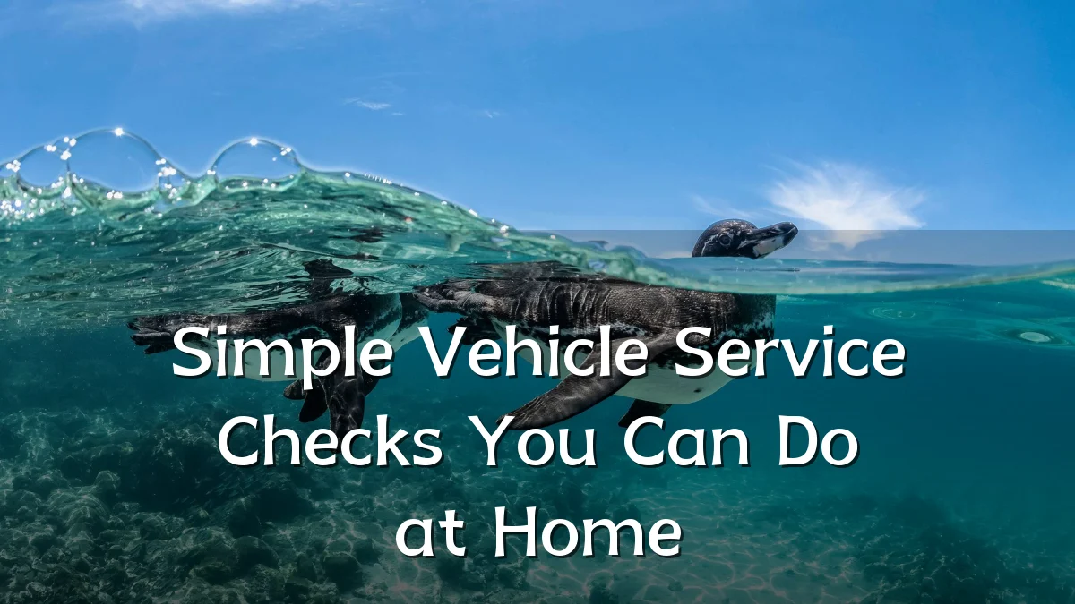 Simple Vehicle Service Checks You Can Do at Home