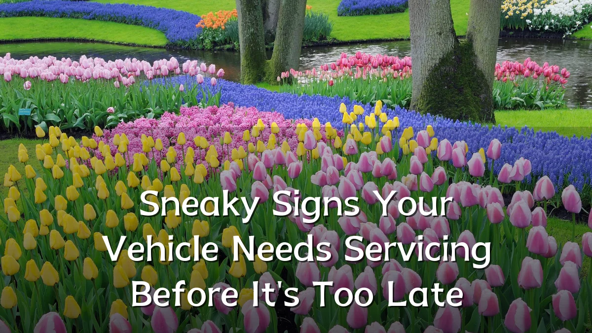 Sneaky Signs Your Vehicle Needs Servicing Before It's Too Late