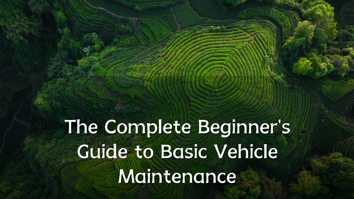 The Complete Beginner's Guide to Basic Vehicle Maintenance