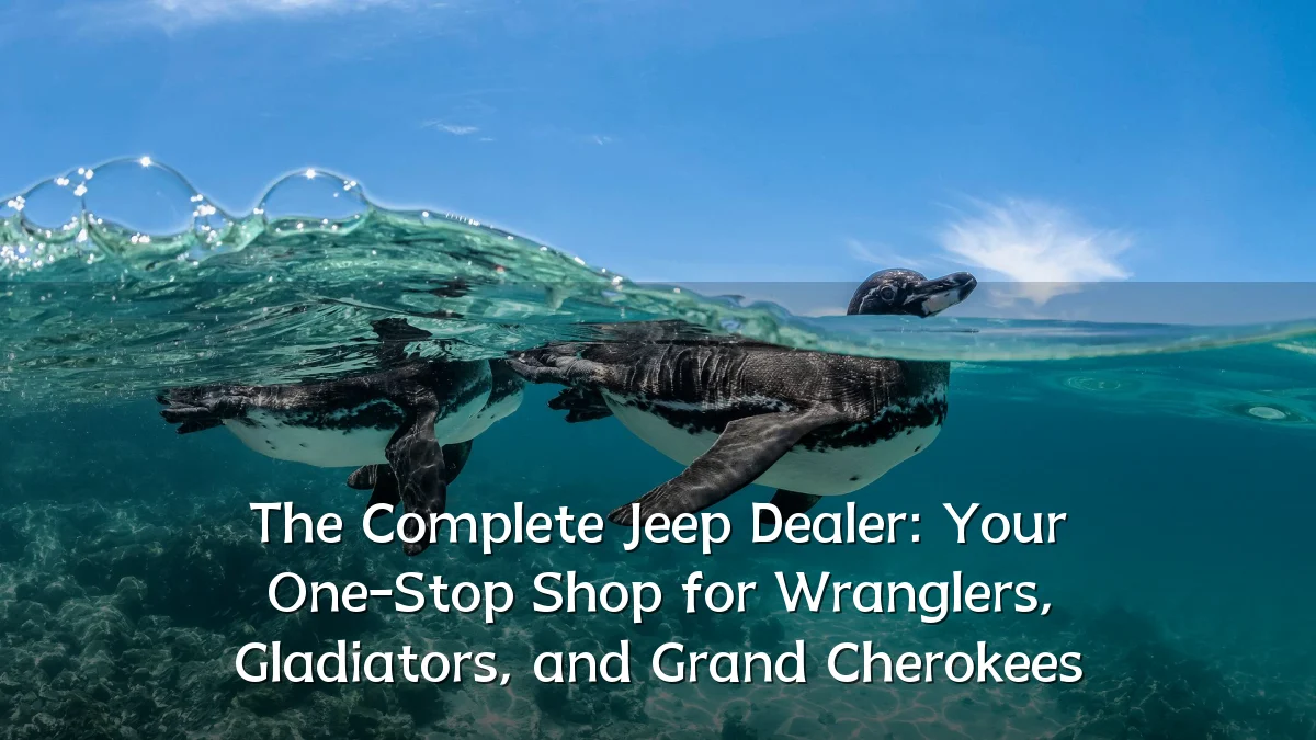 The Complete Jeep Dealer: Your One-Stop Shop for Wranglers, Gladiators, and Grand Cherokees