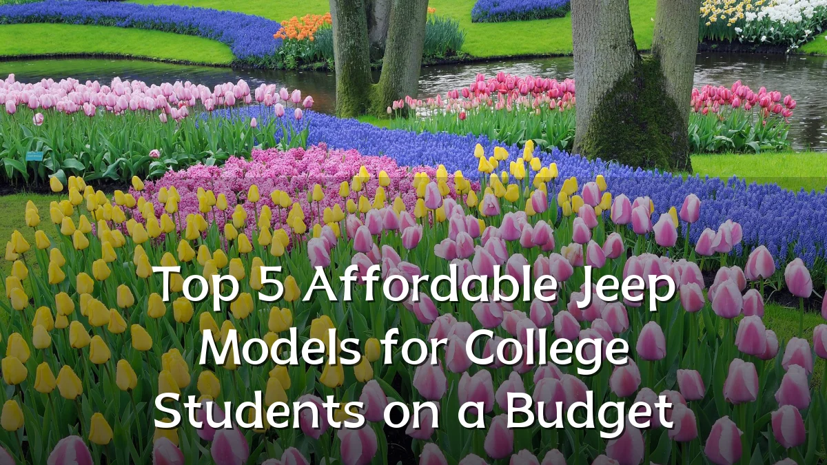 Top 5 Affordable Jeep Models for College Students on a Budget