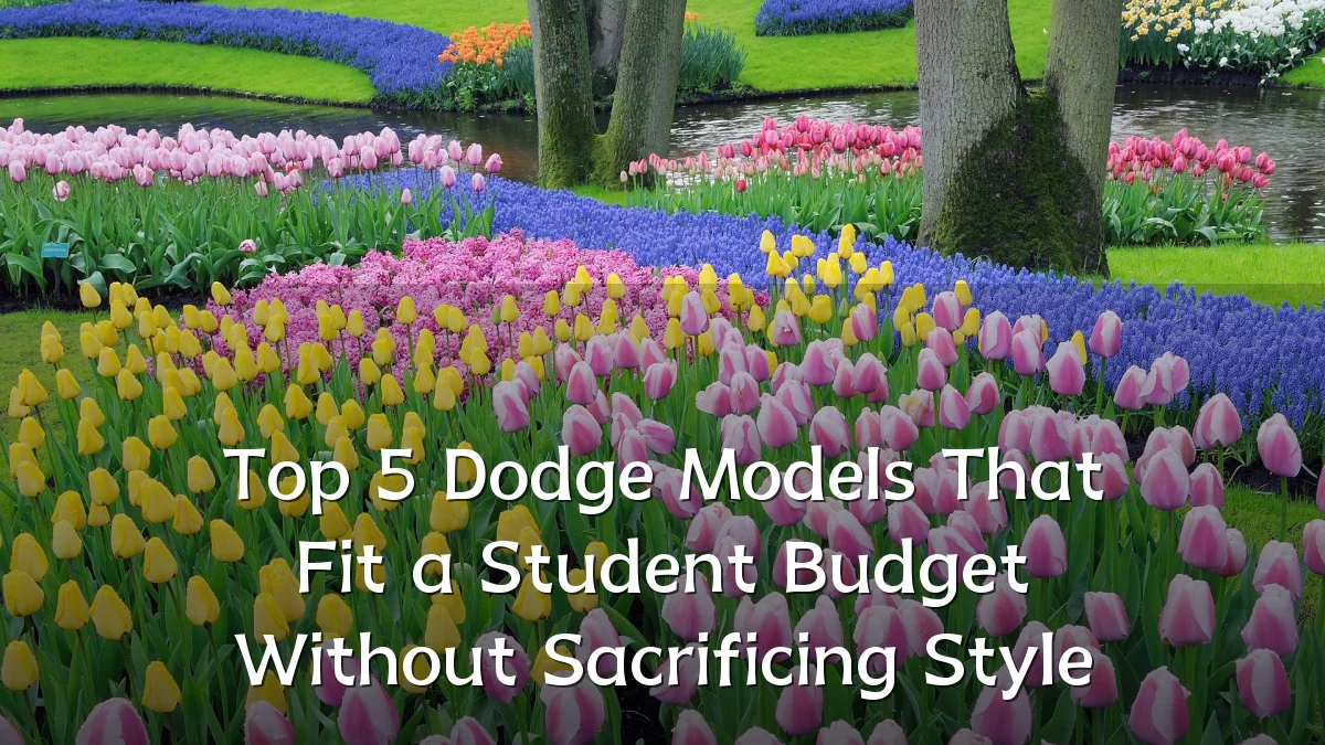 Top 5 Dodge Models That Fit a Student Budget Without Sacrificing Style
