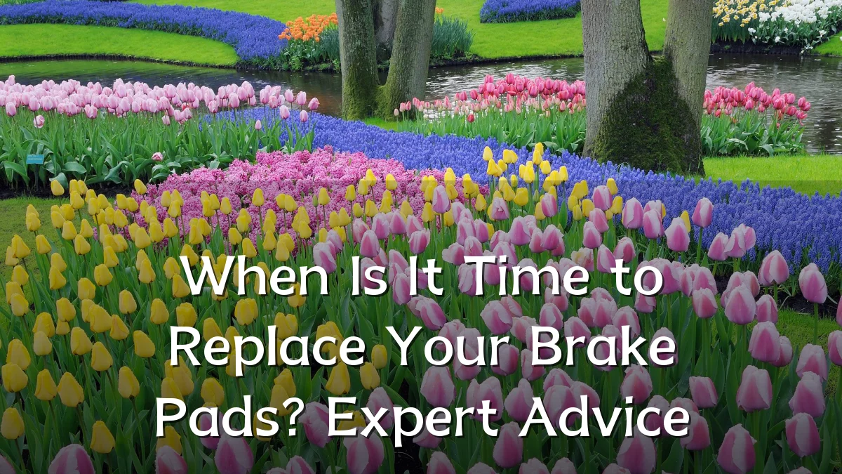 When Is It Time to Replace Your Brake Pads? Expert Advice