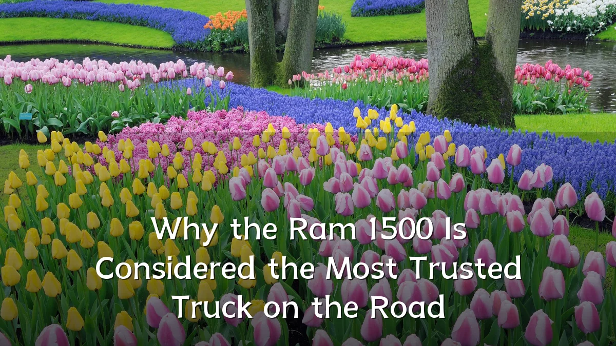 Why the Ram 1500 Is Considered the Most Trusted Truck on the Road